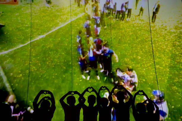 引起了广泛 引起了广泛