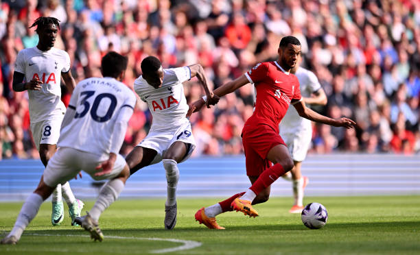 新赛季中保 新赛季中保